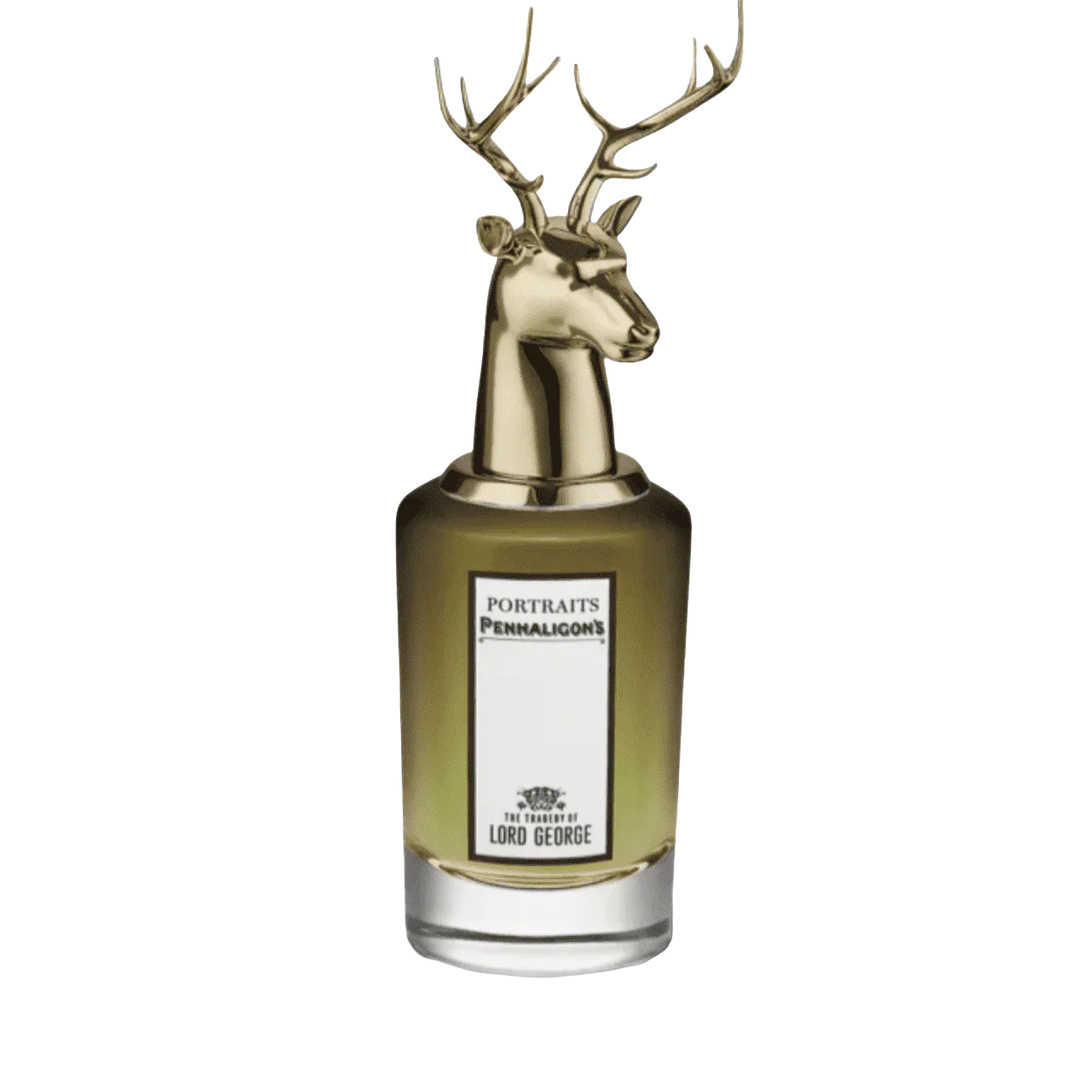 Fragrances for Men
