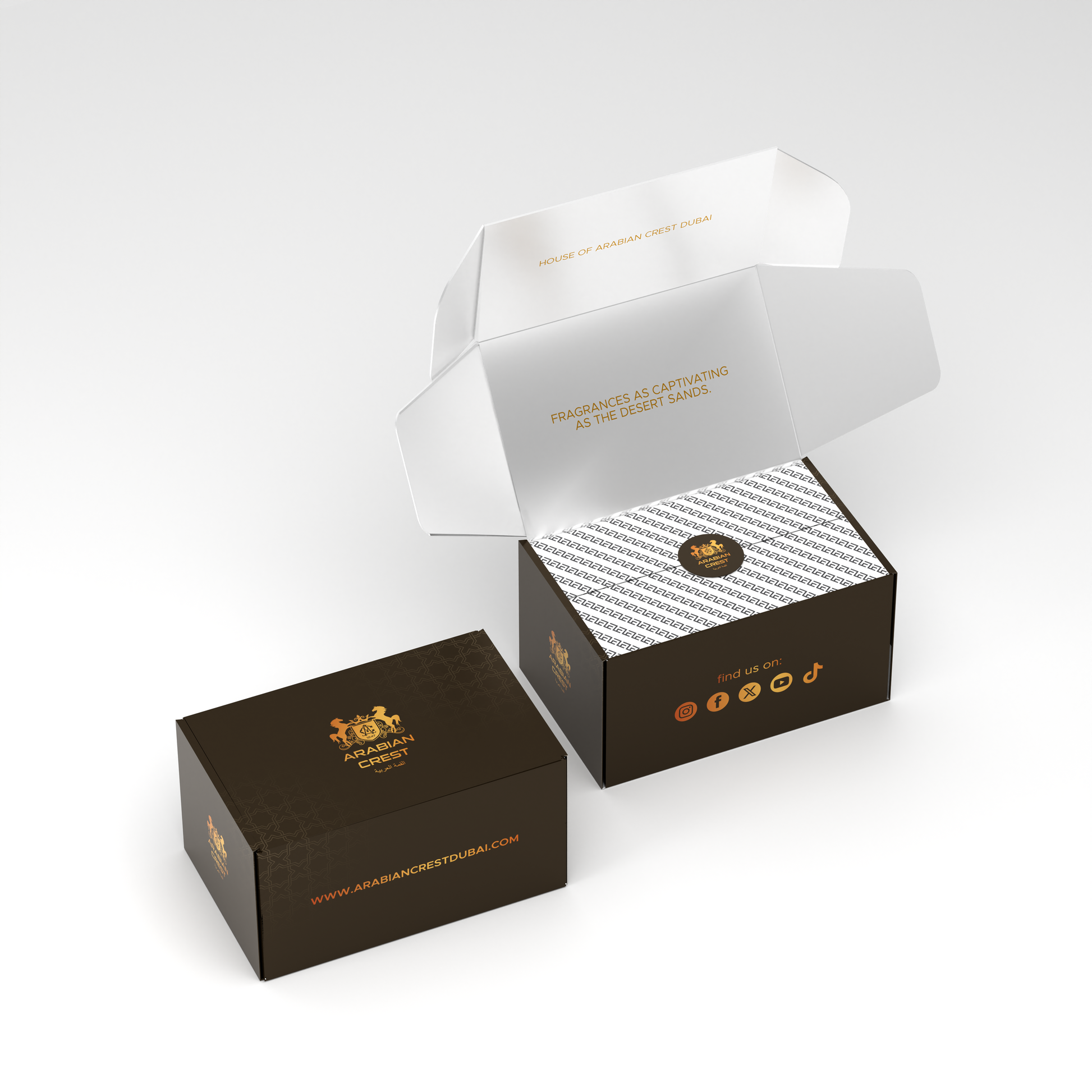 Mirza ميرزا Eau de Parfum | Arabian Oud Saffron & Rose Desert Fragrance