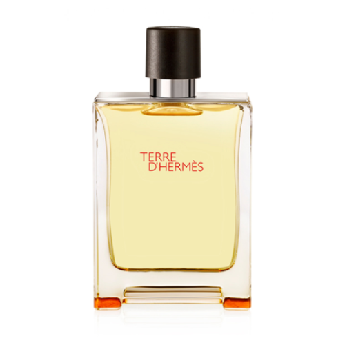 Terre D'Hermes Eau De Toilette by Hermes