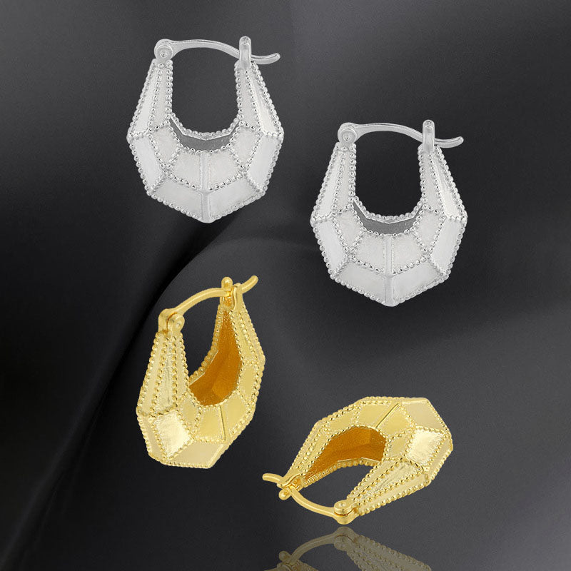 Women's Fashion Geometry Section Bag 925 Sterling Silver Hoop Earrings