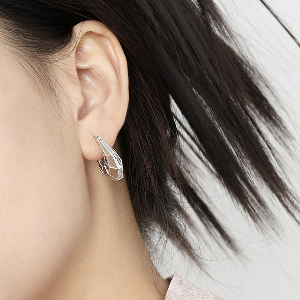 Women's Fashion Geometry Section Bag 925 Sterling Silver Hoop Earrings